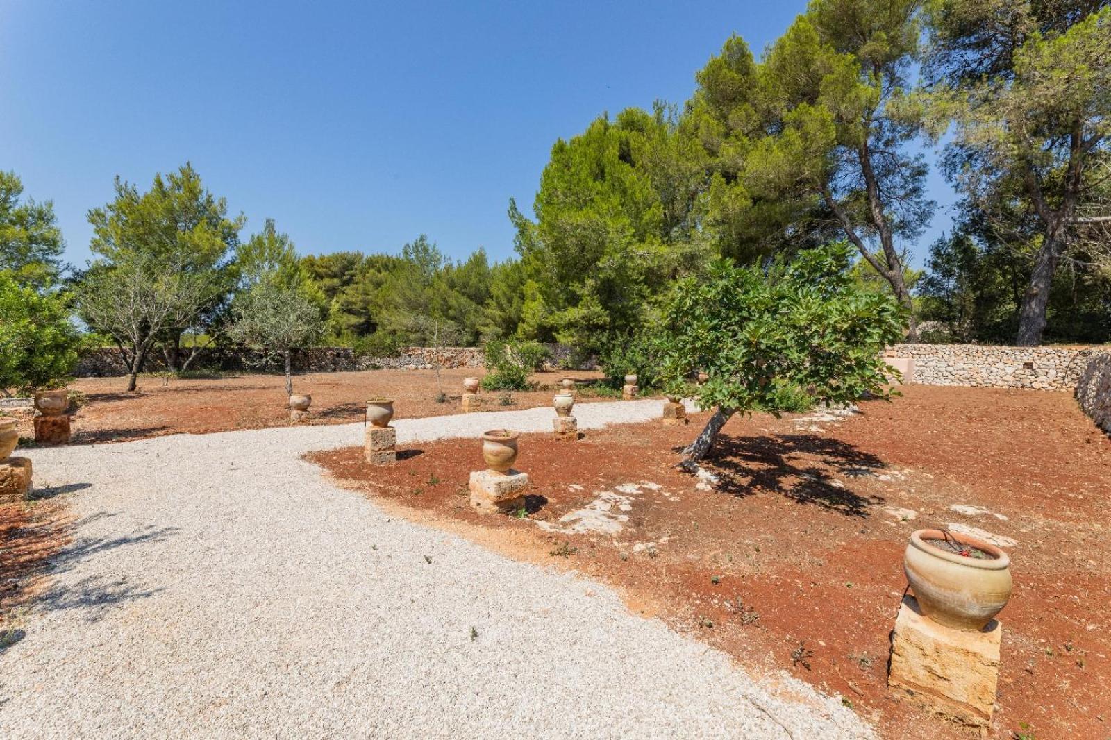 Masseria Scafazzi بريزيتشي المظهر الخارجي الصورة